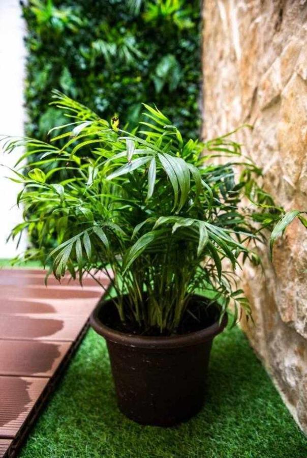Casa Do Gato Poeta Apartment Leiria Ngoại thất bức ảnh